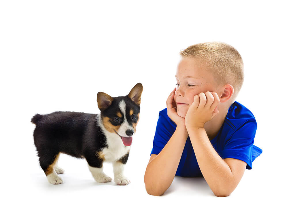 Boy and Dog